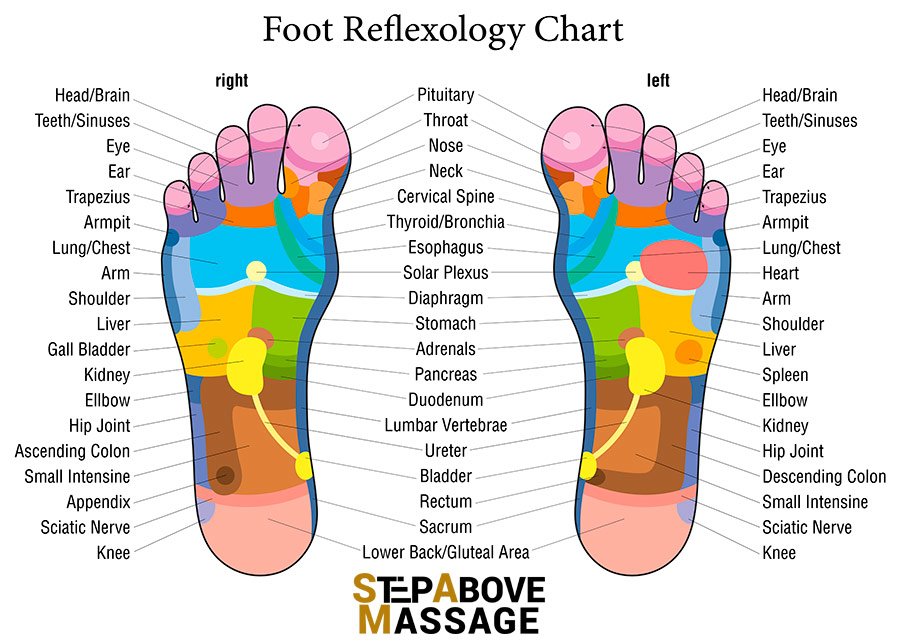 foot reflexology chart