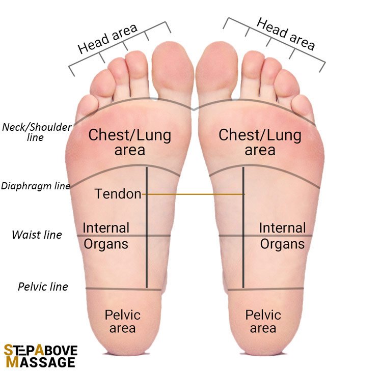 foot-reflexology-massage-step-above-massage