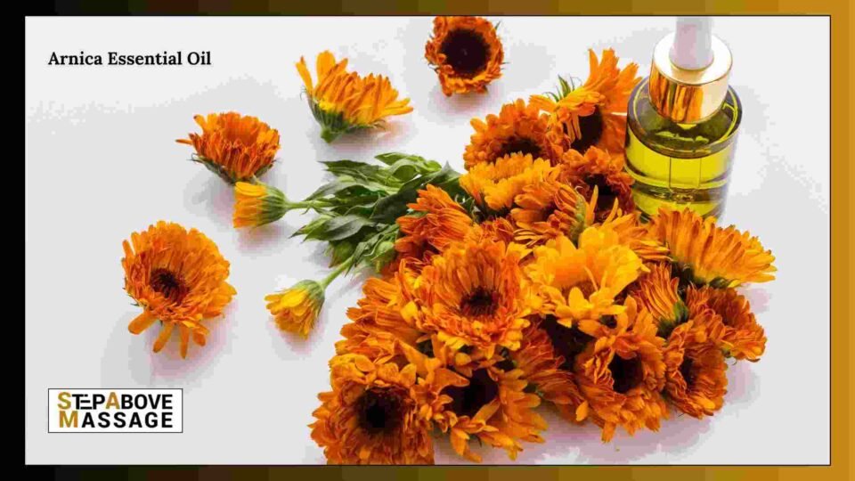 Arnica essential oil