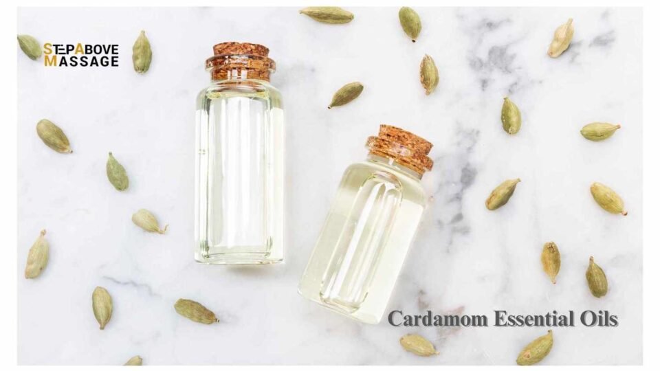 Cardamom Essential Oil