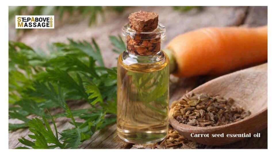 Carrot seed essential oil