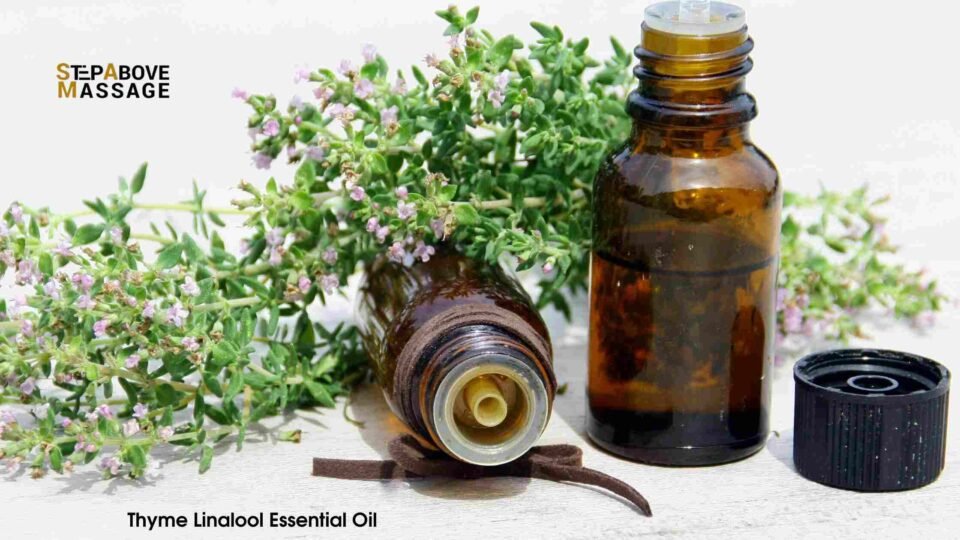 thyme linalool essential oil