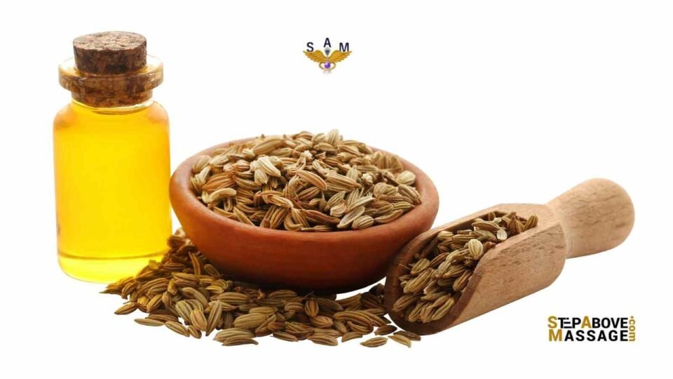 Fennel Sweet Essential Oil