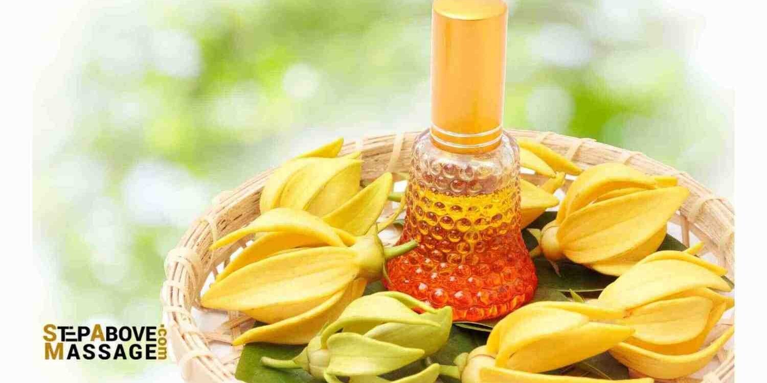 Ylang-ylang essential oil
