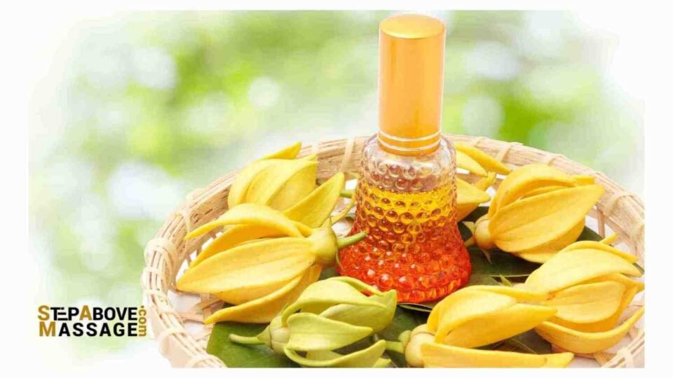 Ylang-ylang essential oil