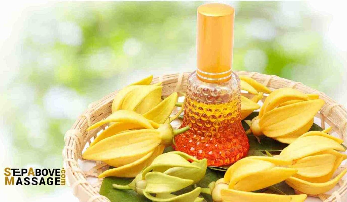 Ylang-ylang essential oil