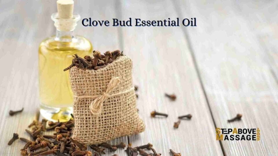 Clove Bud Essential Oil