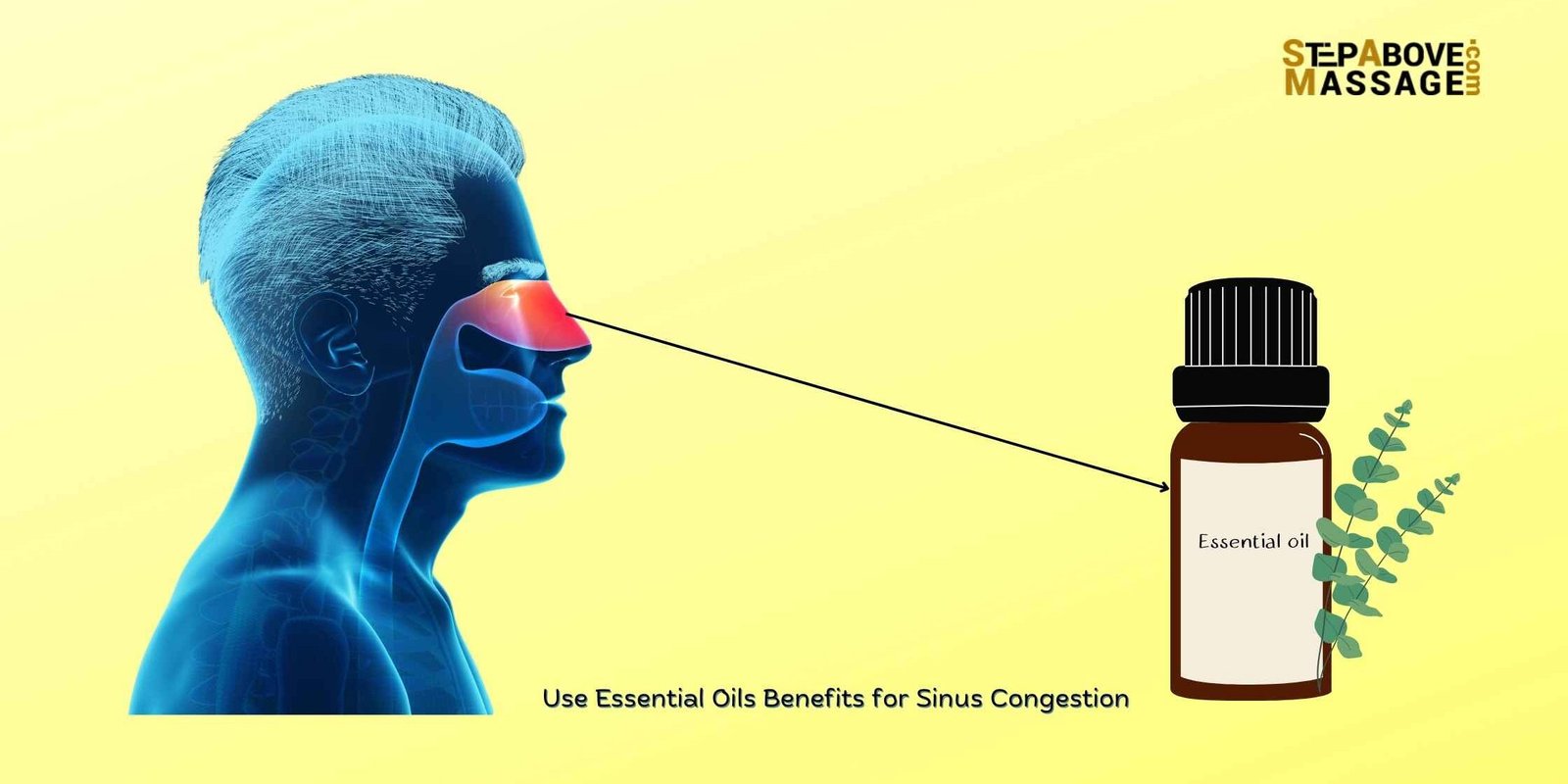The Best Essential Oils for Sinus Congestion Relief Step Above Massage